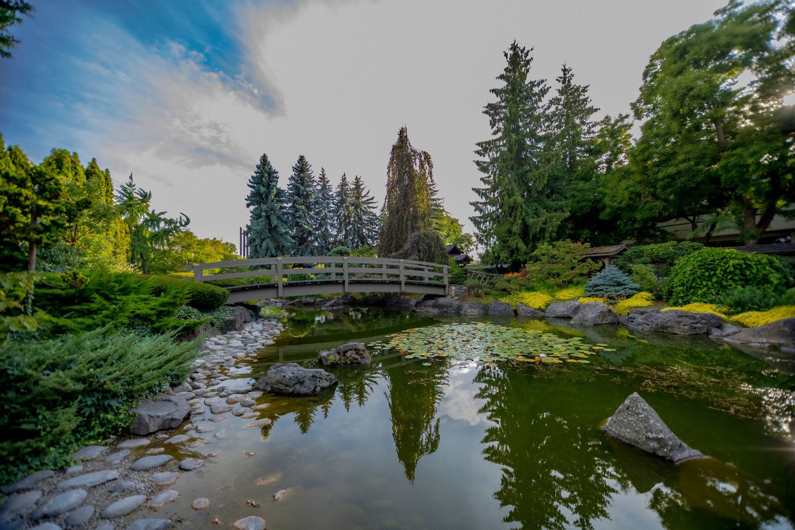 Kasugai gardens in Kelowna, showing the Koi pond with a walking bridge over the water