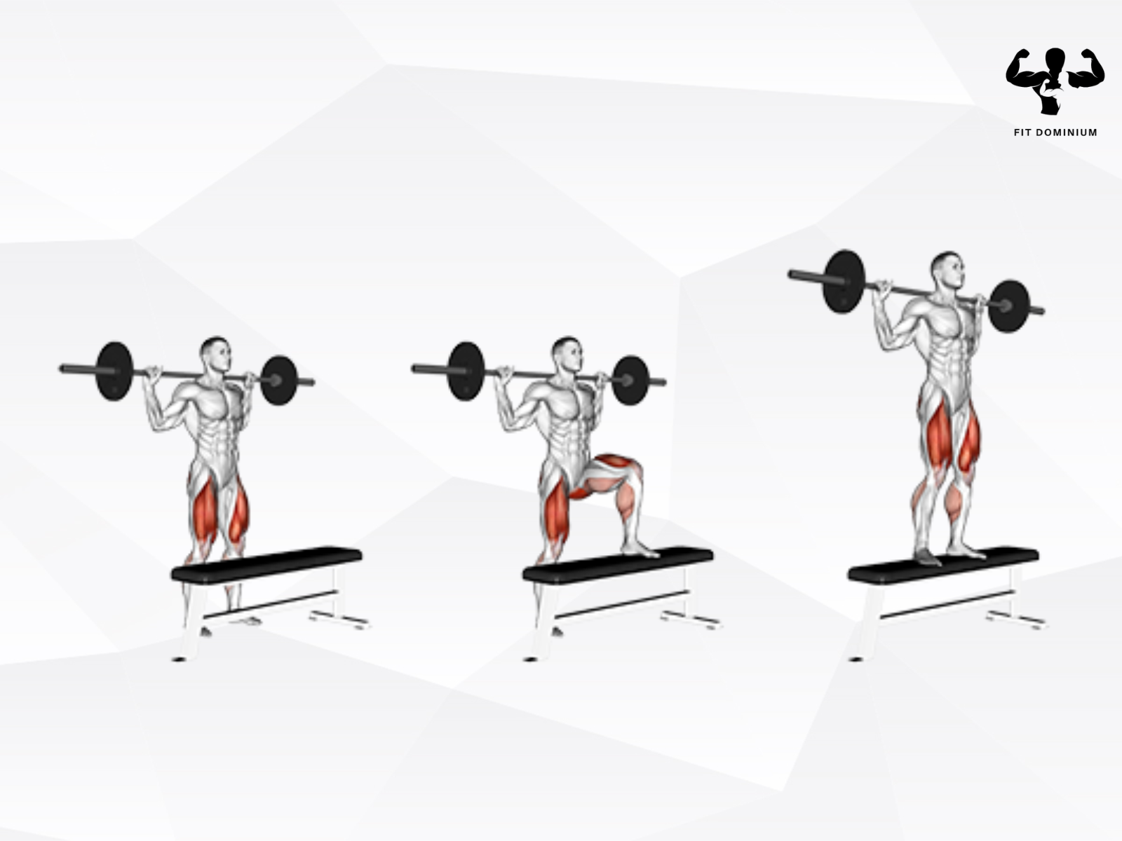 how to do barbell step ups