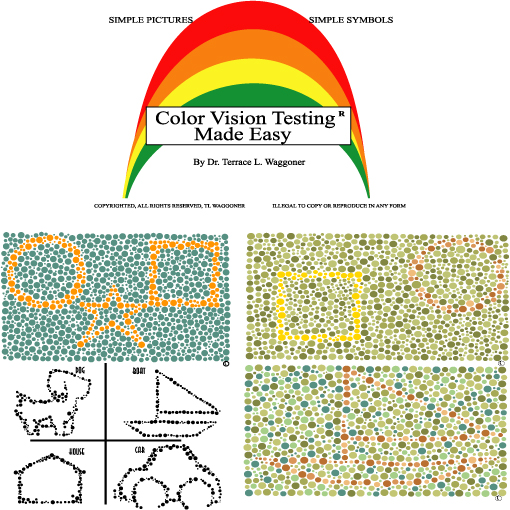 Color Vision Testing Made Easy Photo 2.jpg