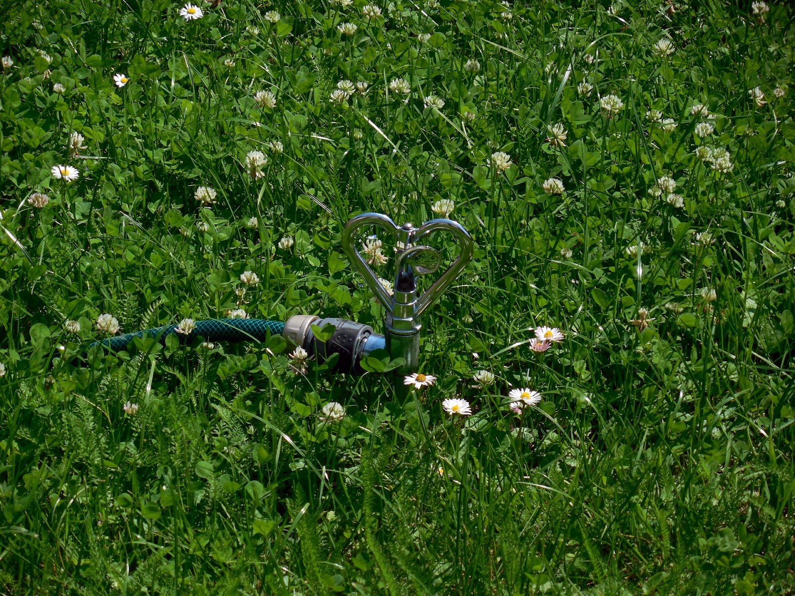 How to install your own sprinkler system murfreesboro real estate 