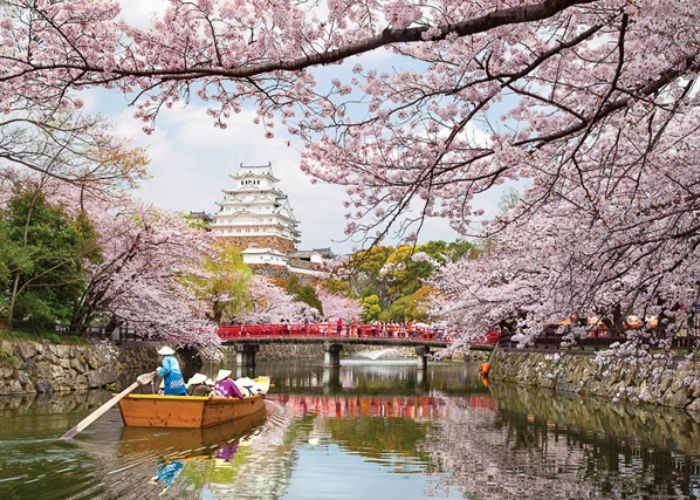 Tour du thuyền Nhật Bản - Mùa xuân Nhật Bản là thời điểm thu hút khách du lịch nhiều nhất tại Nhật Bản