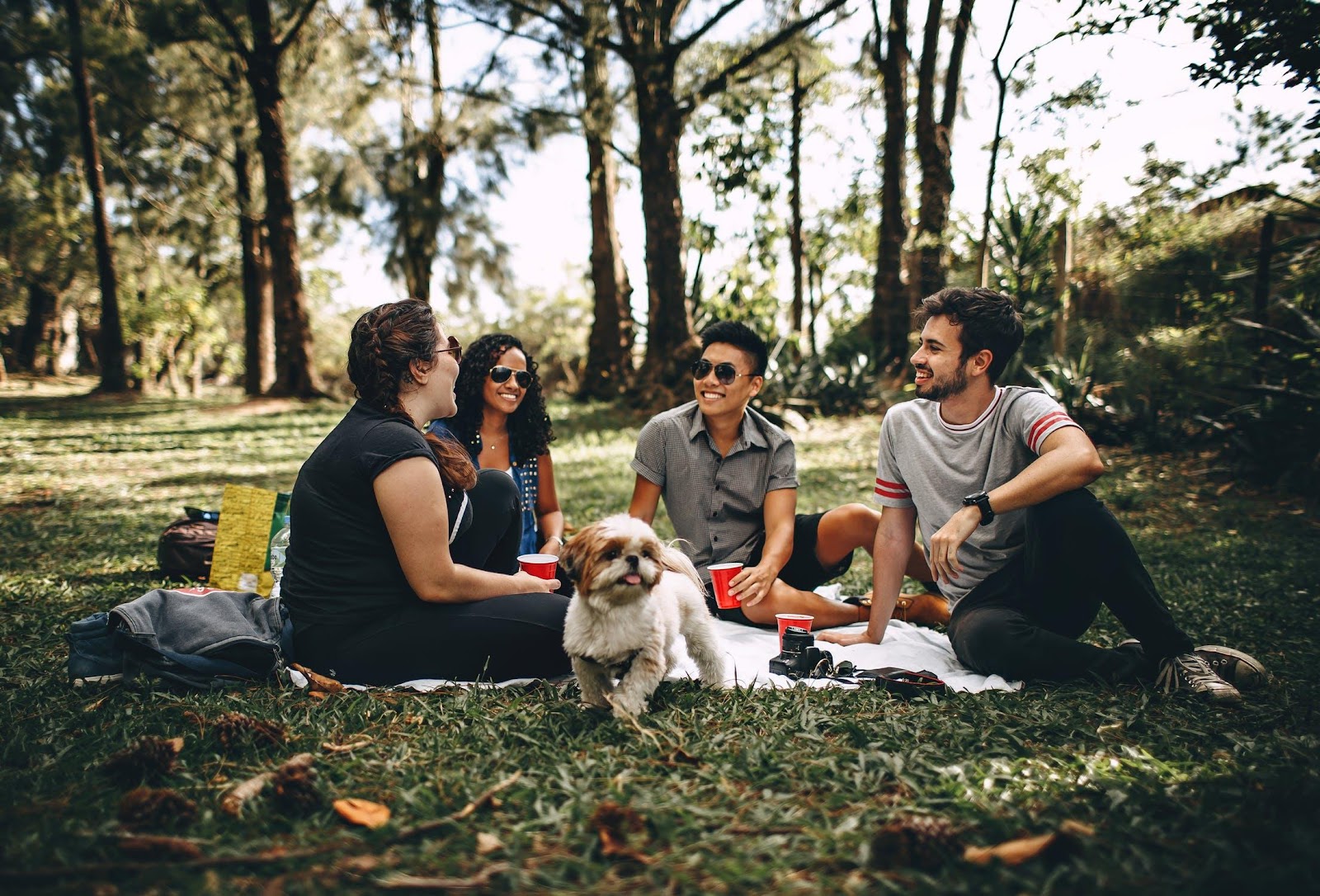 A group of people sitting on the grass with a dog

Description automatically generated