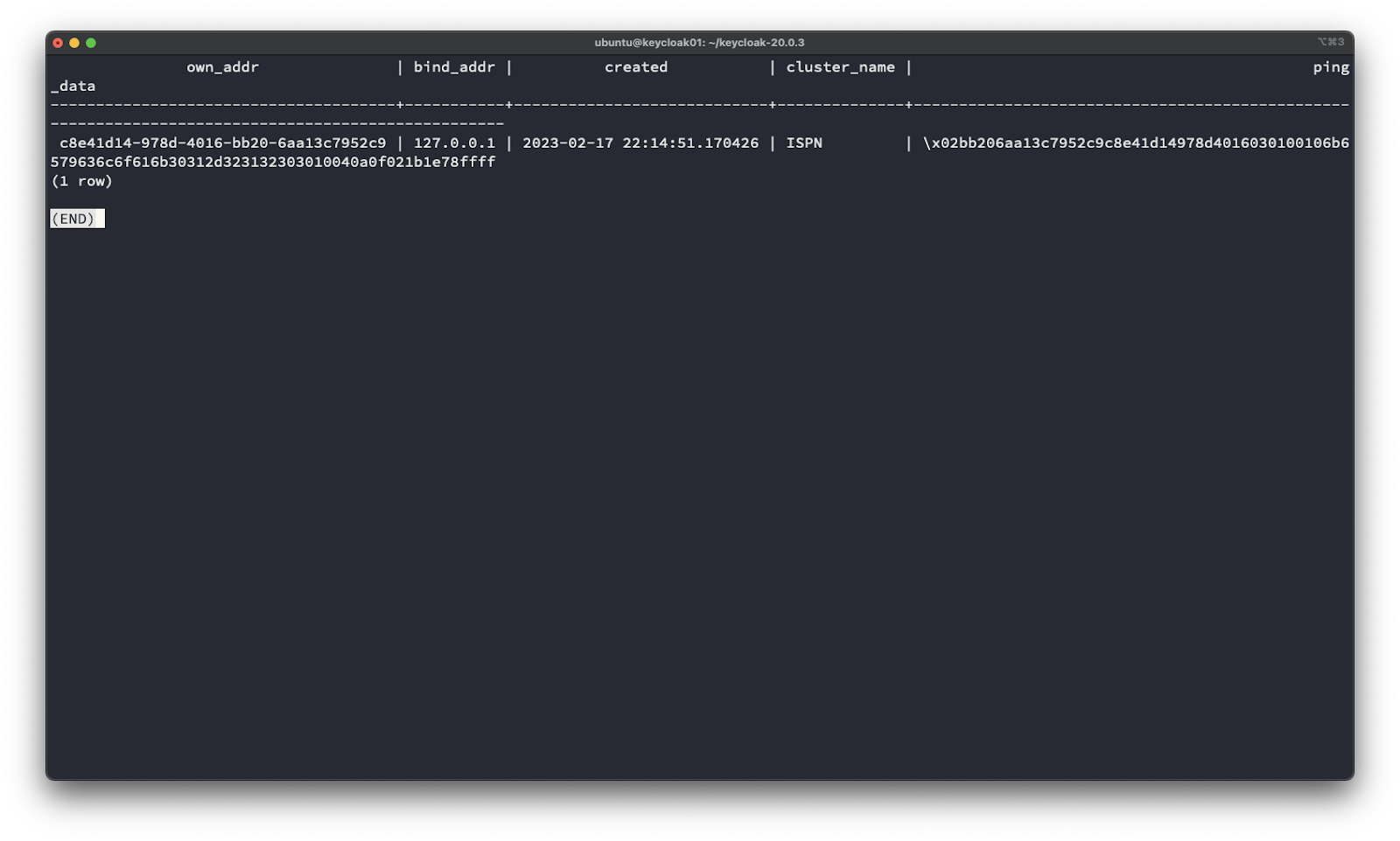 own _ addr 
_ data 
c8e41d14-978d-4016-bb20-6aa13c7952c9 1 
bind _ addr 
127.0.0.1 
ubuntu@keycIoak01: —IkeycIoak-20.O.3 
I cluster _ name I 
created 
2023 
-02-17 22:14:51.170426 | ISPN 
I \x02bb206aa13c 
579636c6f616b30312d323132303010040a0f021b1e78ffff 
(1 row) 
(END) 
