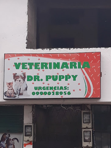 Opiniones de Veterinaria Dr. Puppy en Quito - Veterinario