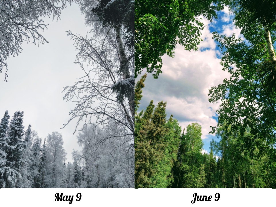 Image of a snowy May 9th and a Green June 9th
