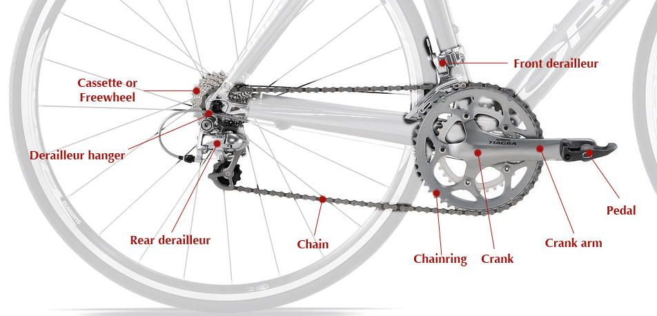 The mountain bike front chainring works together with the rest of the drivetrain to propel your bike in a forward direction.