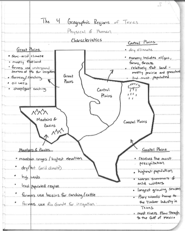 free-texas-printables-for-homeschoolers-texas-state-facts-worksheet