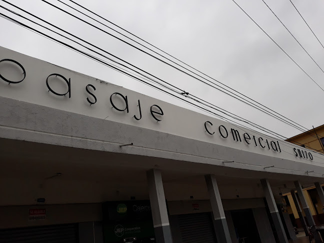 Pasaje Comercial Suizo