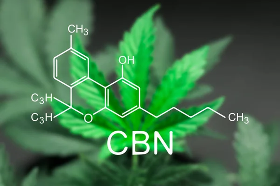 CBN - cannabinoïde
