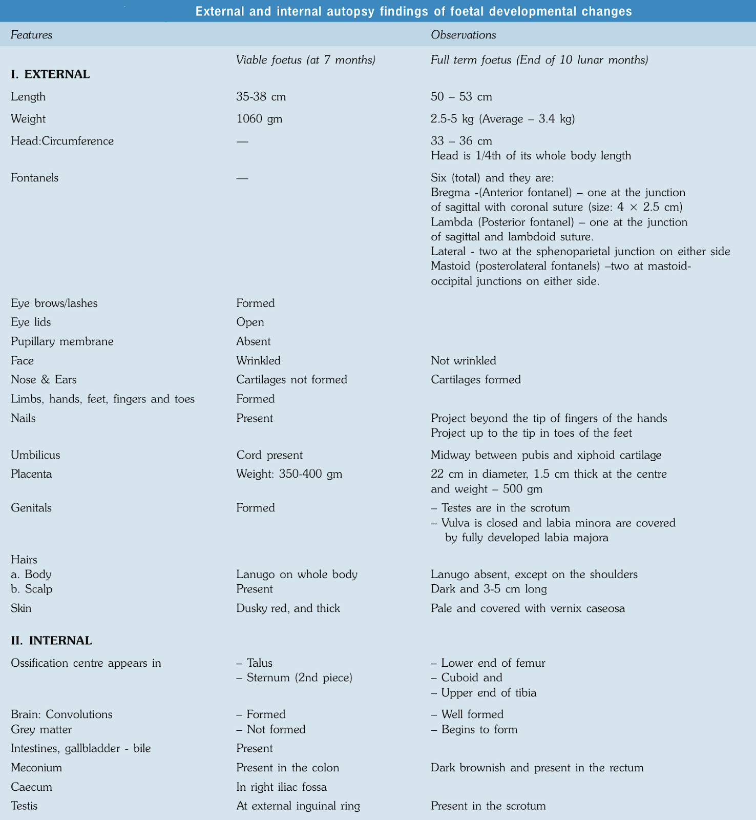 External and Internal Autopsy Findings of Fetal Development Changes