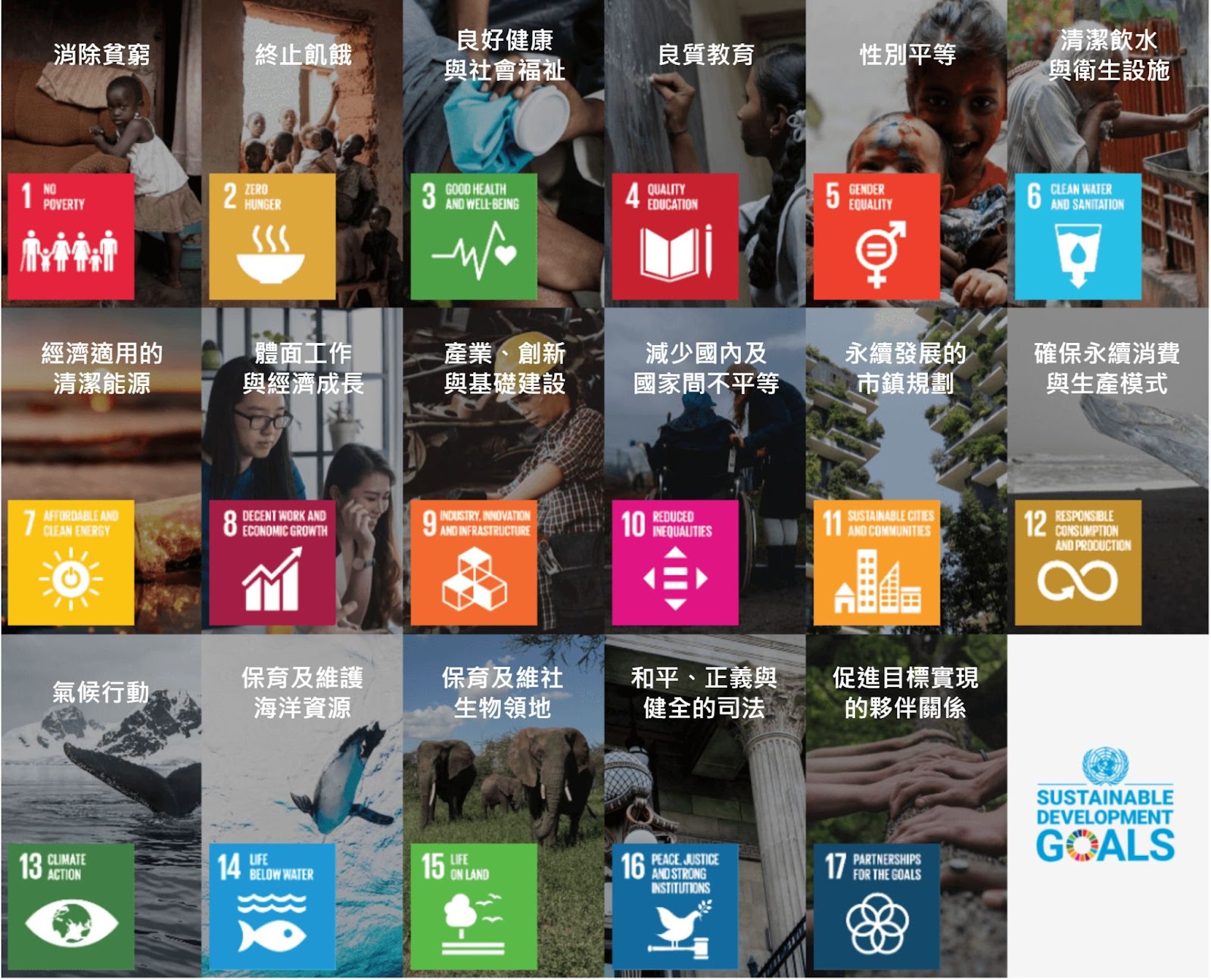 圖片素材來源：17 個 SDGs 永續發展目標｜覺醒網頁設計翻譯