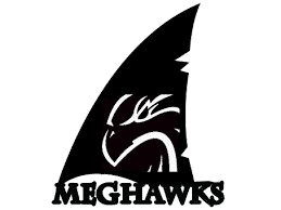 MegHawks 