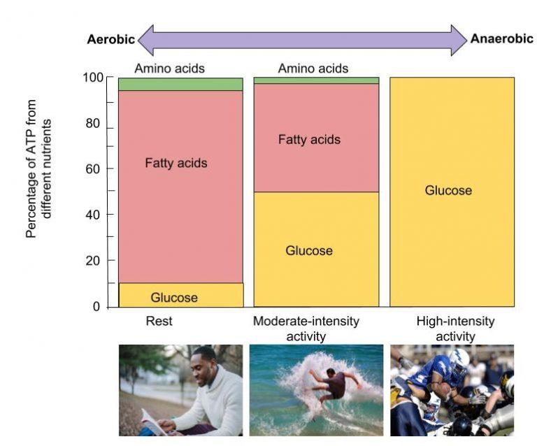 Chart, treemap chart

Description automatically generated