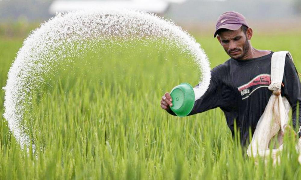 Government to purchase chemical fertilizers from Bangladesh - DCnepal