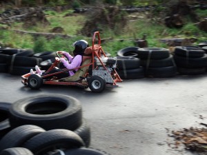 Image result for go karts at woodend