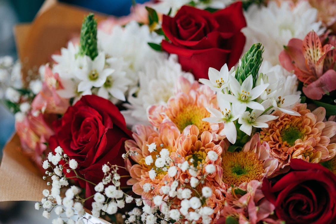 Foto De Close Up De buquê de Flores Sortidas 