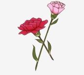 Claveles Y Rosas Animadas - Novocom.top