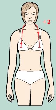 
Measure from one breast apex to the other, around the back of the neck.
DIVIDE THE RESULT BY 2.