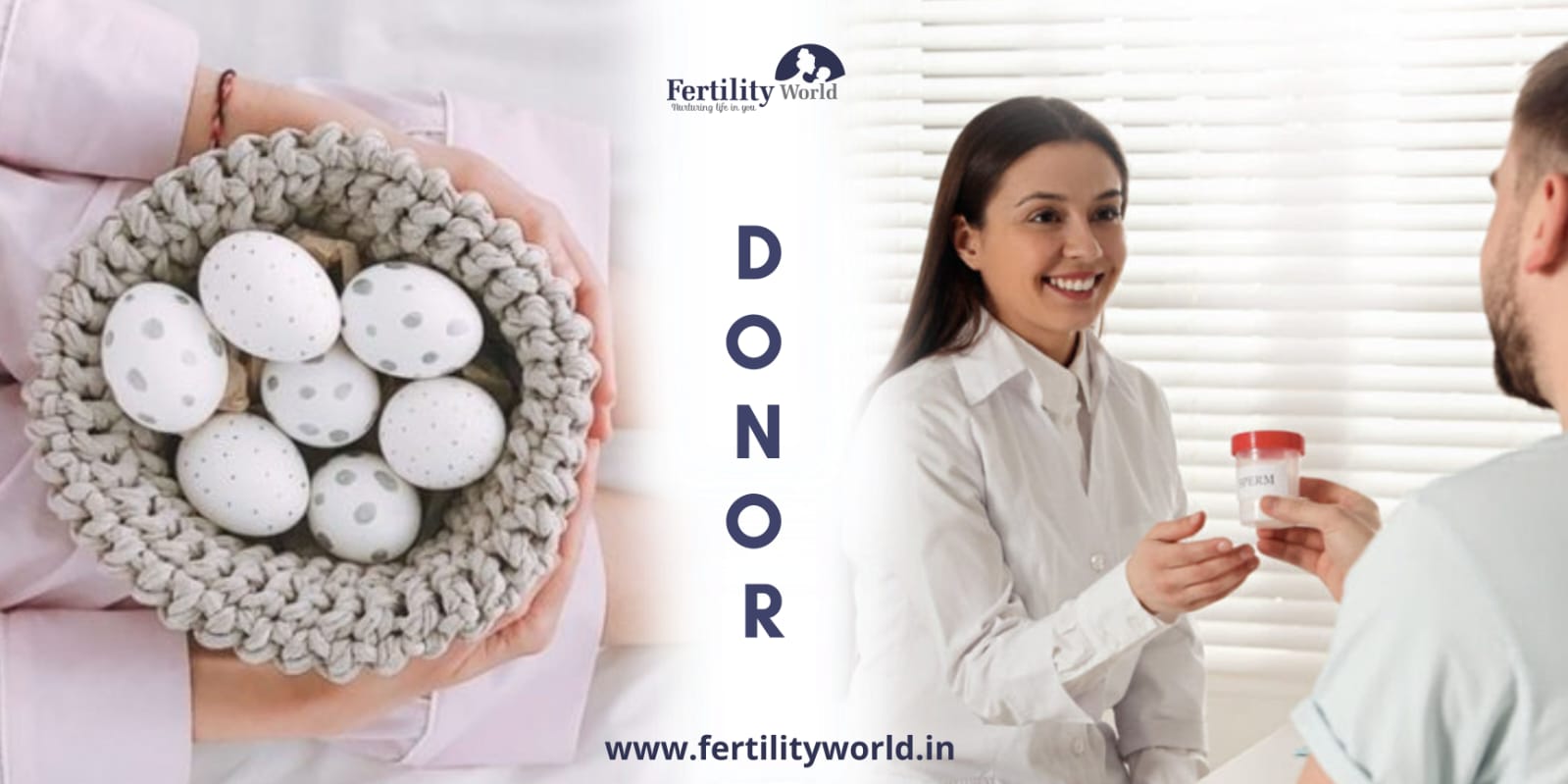 Where do you get Donor Eggs?