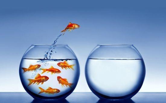 Thay đổi thói quen để thay đổi vận mệnh cuộc đời