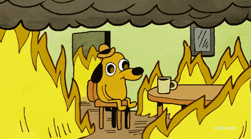 dog sitting in burning house drinking coffee