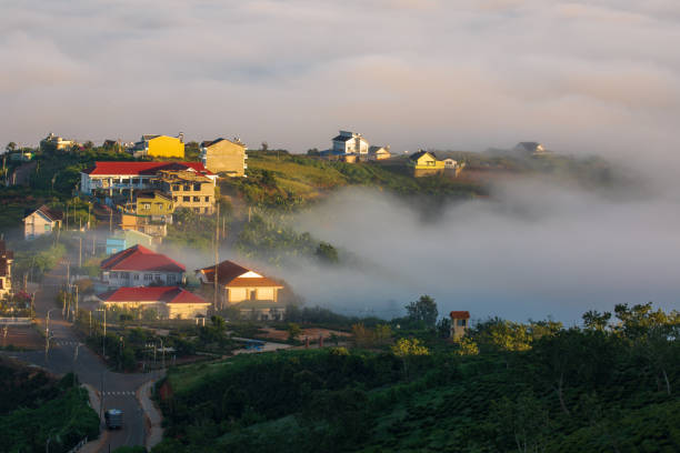 anh hoa da lat