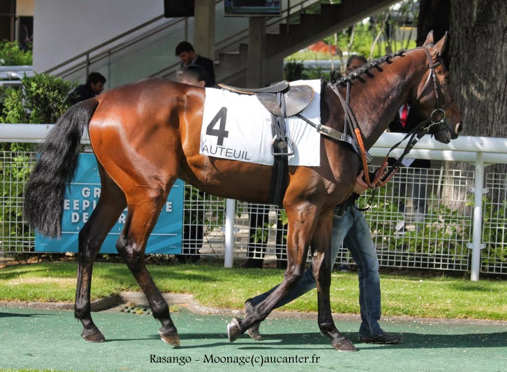 Photos Auteuil 16-05-2015 Week-end printanier de l'obstacle - Page 2 BktpjVcR1v5_6TMts77FZnb6nzwZdZckU2aUieqX1tSP=w1024-h751-no