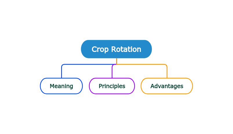Flow Chart For Crop Rotation