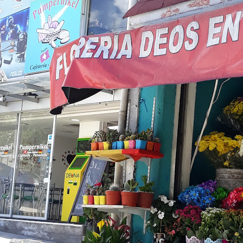 Opiniones de Florería Deos en Quito - Floristería