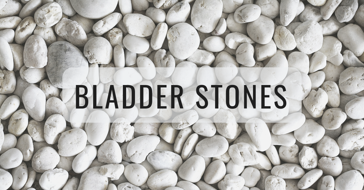 stones with text bladder stones