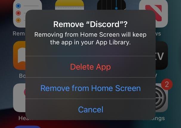 Here, you can choose to delete the app or remove the app icon from the home screen