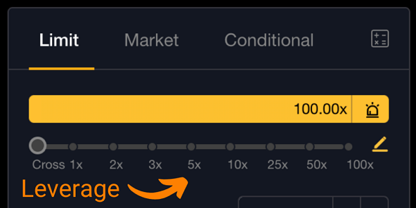 4. Leverage .