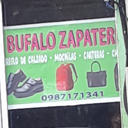 Comentarios y opiniones de Búfalo Zapateria