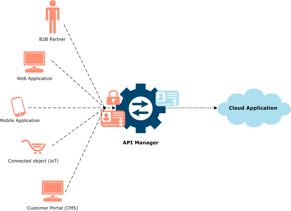 Use case of API Manager for cloud applications