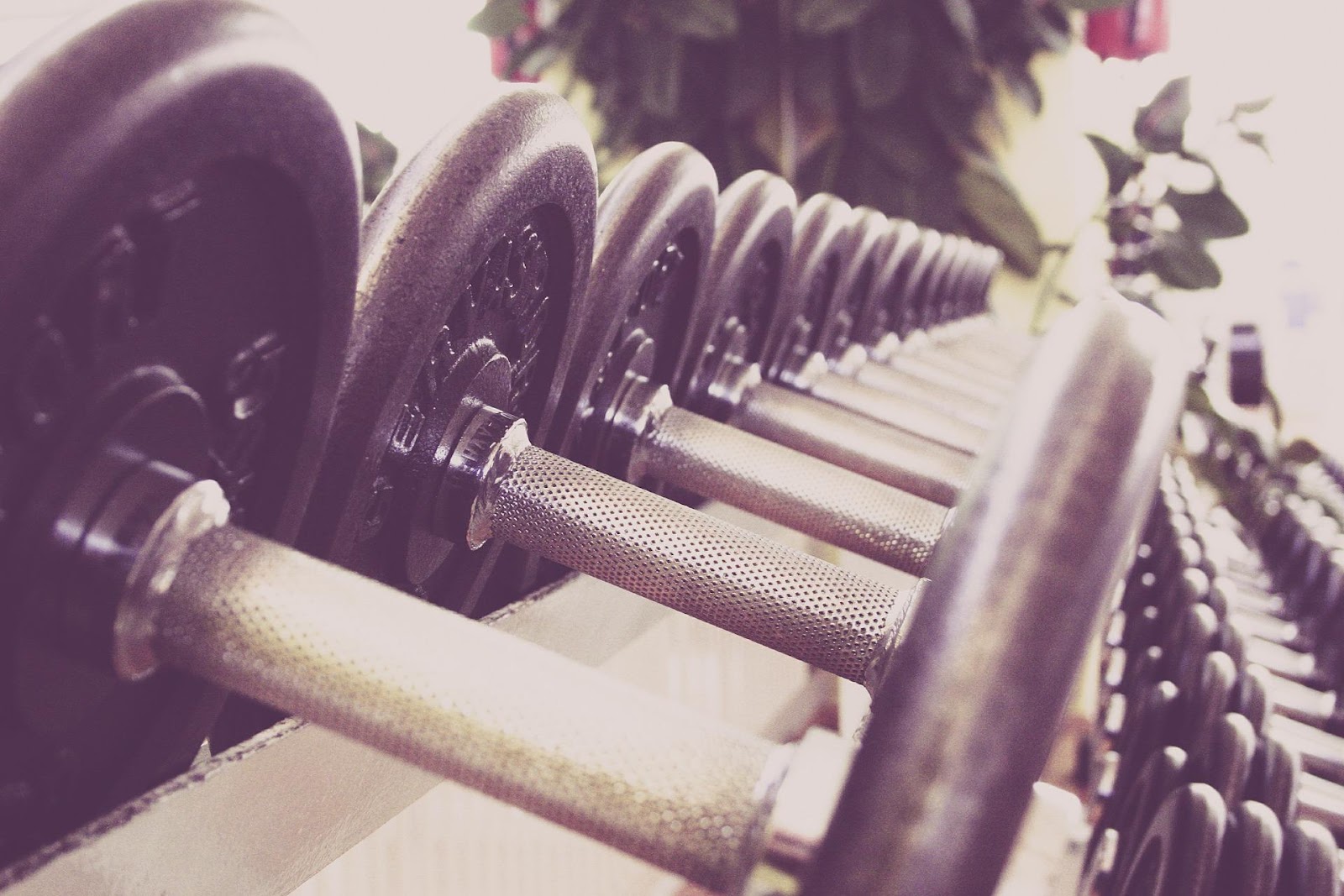 Close-up of a row of metal dumbbells symbolizing the challenging nature of the gambling market niche