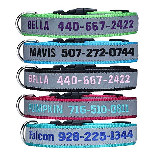 A name platted dog collar 