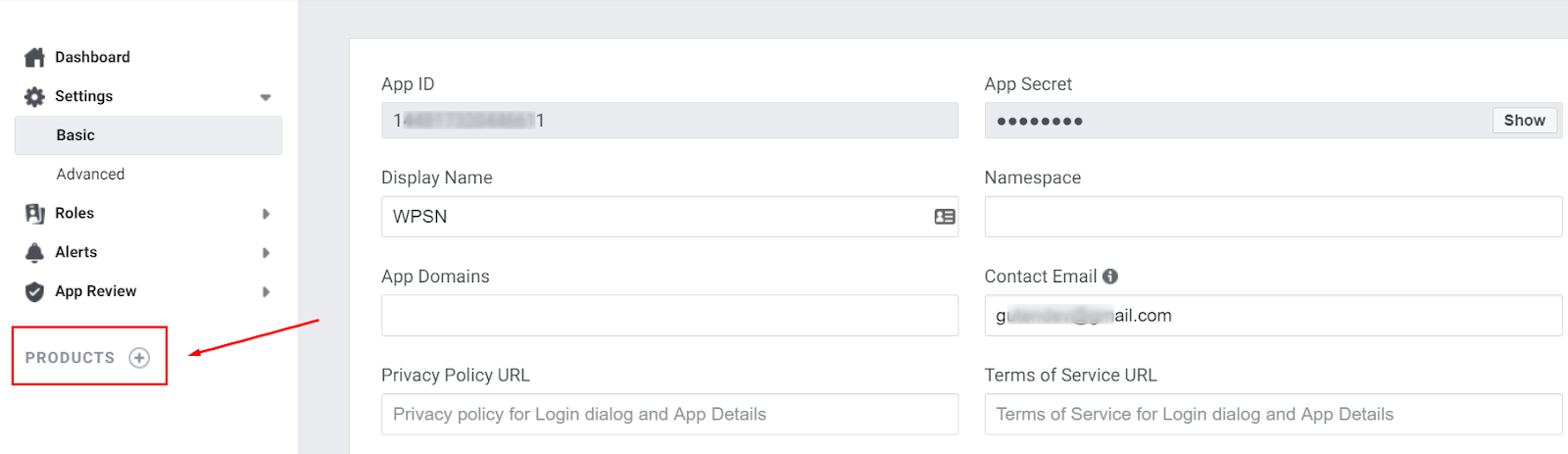 products for Instagram access token