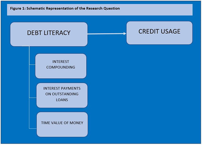 A Daigram showing Figure 1. Schematic Representation of the Research Question (Debt Litracy on one side vs Credit Usage on the other)