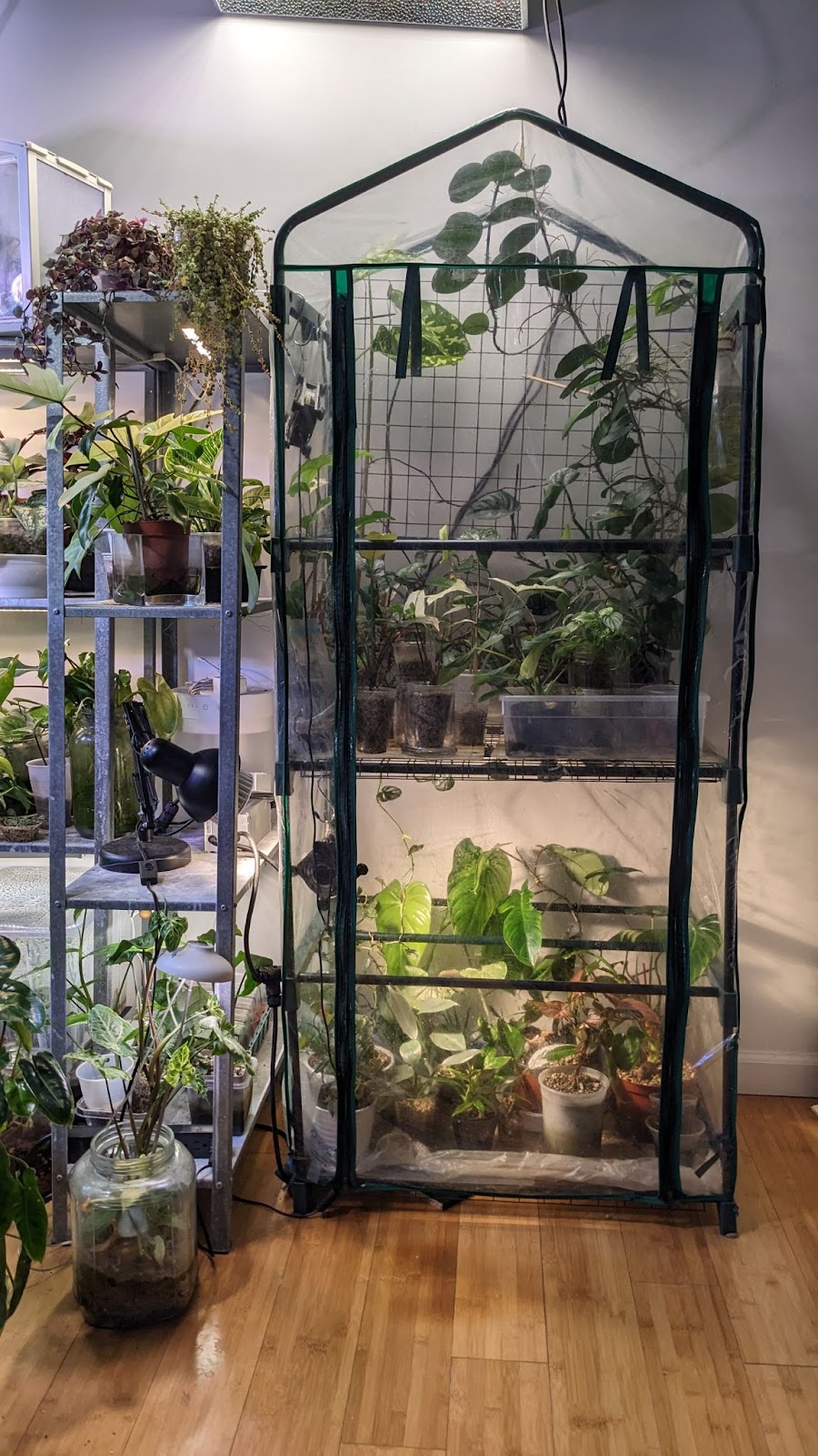 diy mini indoor greenhouse