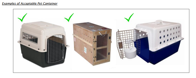 Acceptable Pet containers on Singapore Airlines 