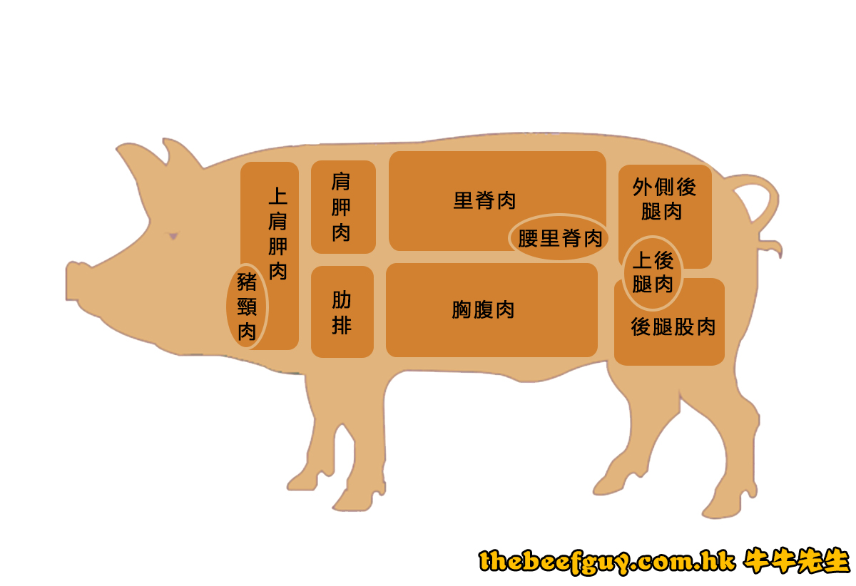 猪肉牛肉部位分解分割高清示意图设计图__展板模板_广告设计_设计图库_昵图网nipic.com