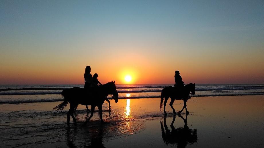 Ride a Horse at seminyak bali beach