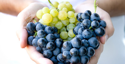 Las principales partes de la uva - Entre Vinos y Pagos %