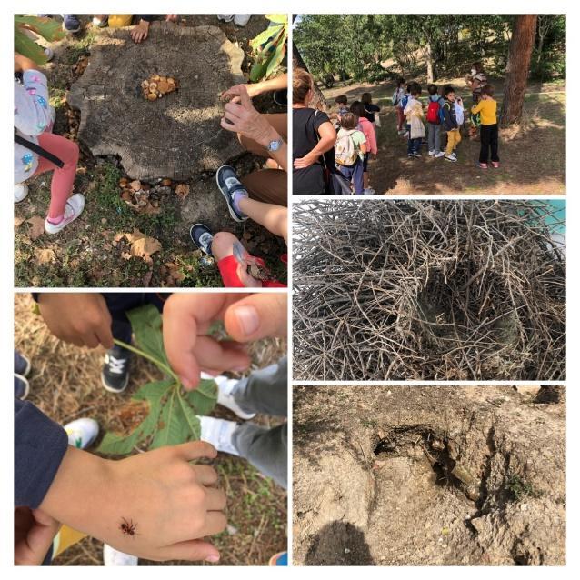 1º Primaria: Naturaleza de la Casa de Campo