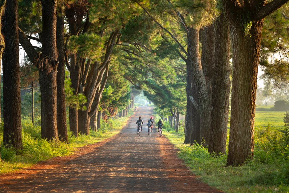 People riding bikes on a trail 