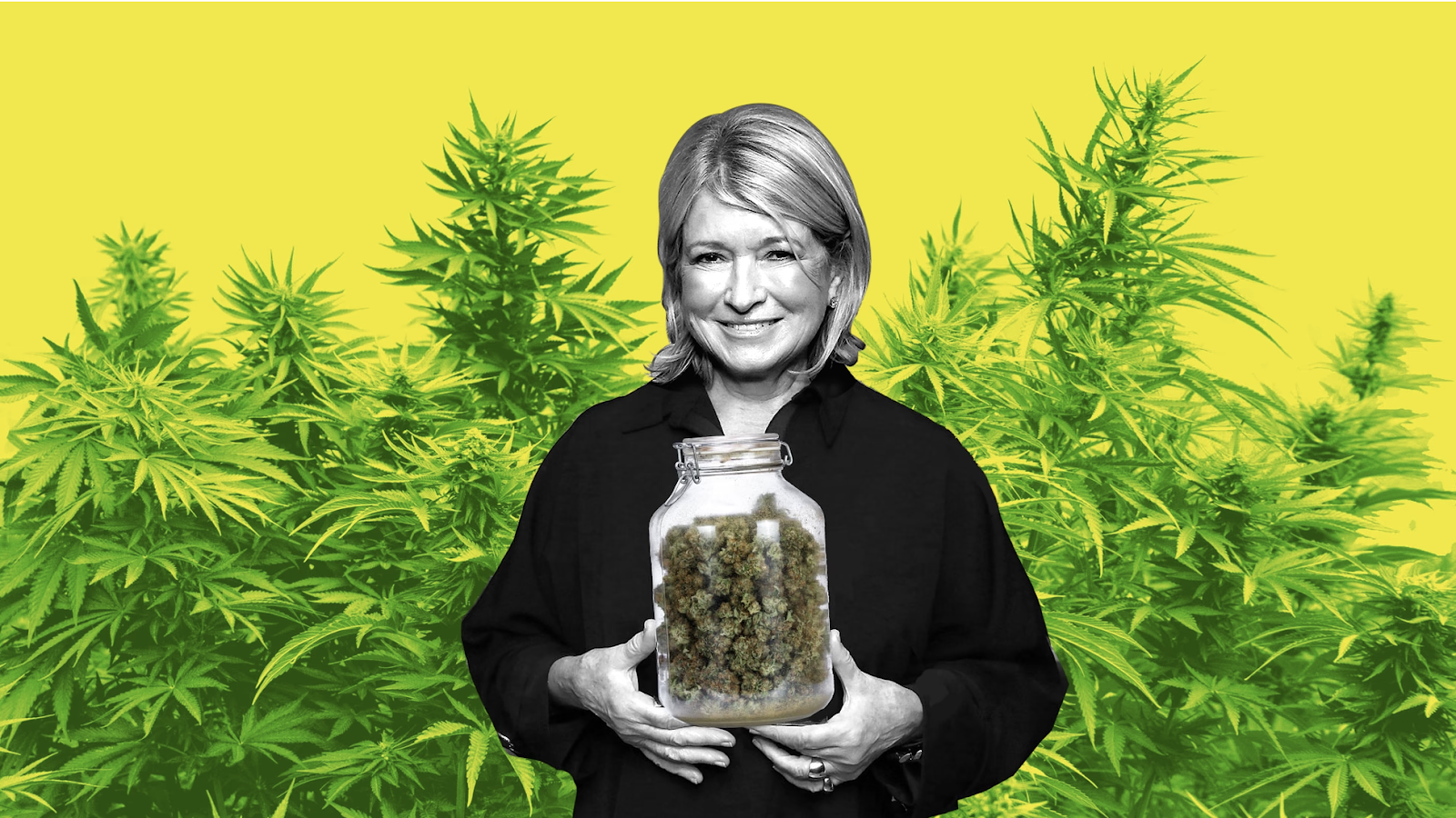 Martha Stewart, celebre conduttrice americana, è una delle celebrità che ha investito nel business della cannabis. Photo credits: The Atlantic 