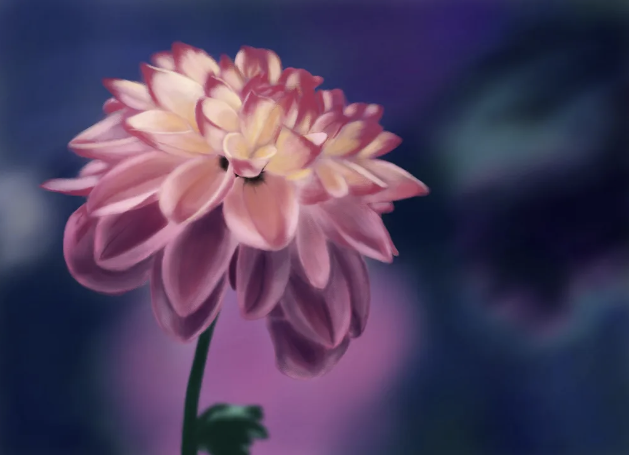 What will you create in Procreate 5.2?