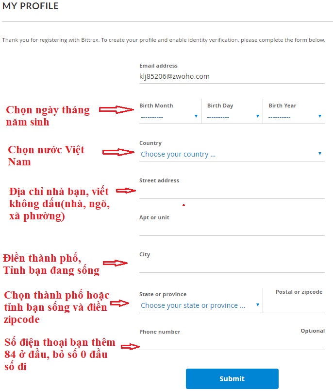 điền thông tin xác minh bittrex