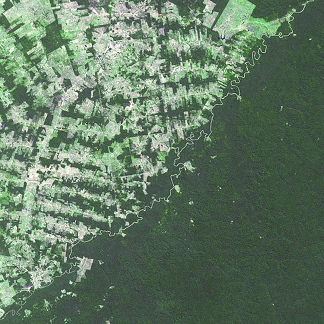 10) Brazil and Bolivia - A river-divided border shows the difference in deforestation in the rain forest of Brazil (light green) and Bolivia (dark green.)