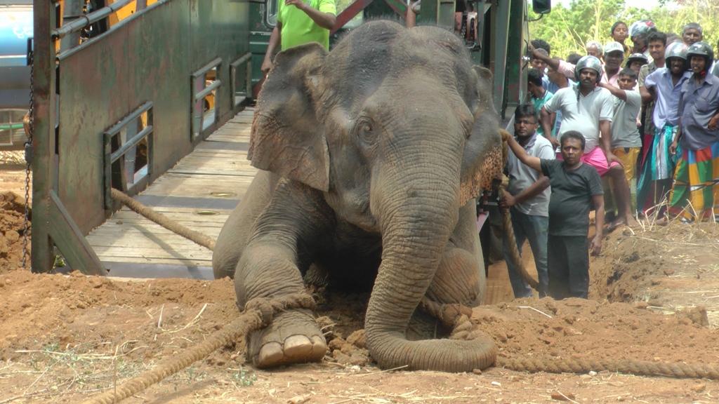 C:\Users\Sampath Deshapriya\Downloads\2016.08-11(2).jpg